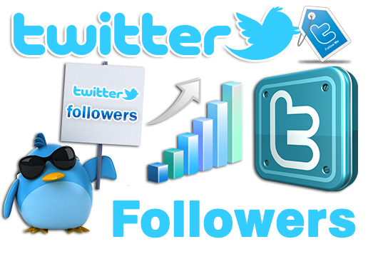 buy-followers-on-twitter-cheap-5